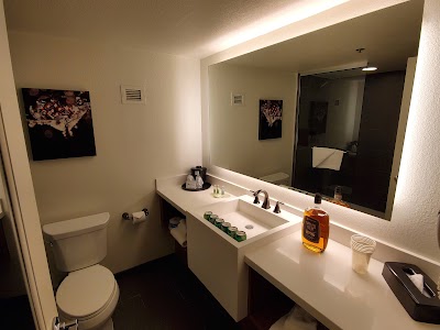 The D Casino & Hotel photo 4