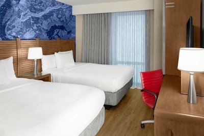 Fairfield by Marriott Inn & Suites New York Manhattan/Financial District photo 5