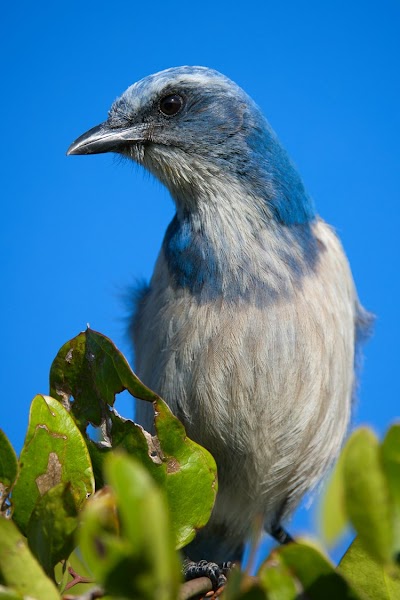 Environmental Consultants of Florida photo 4