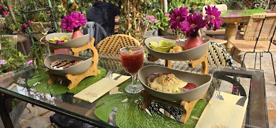 Garden of Salvador Bachiller photo 5