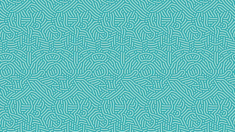 Mr.Shrimp Chicken & Seafood photo 4