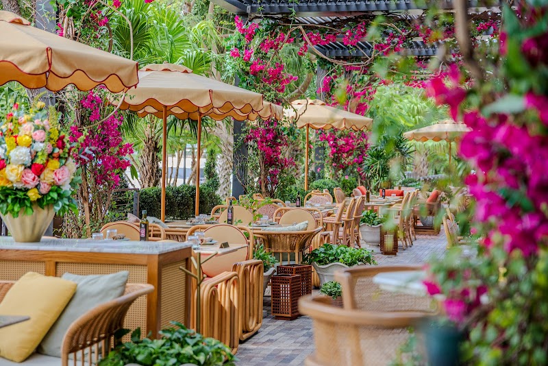 Elia on the River photo 4