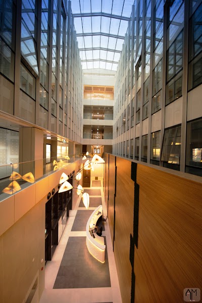 Dub & Co., Law Offices and Notary photo 4