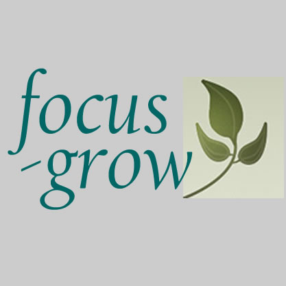 Focus-Grow Bookkeeping