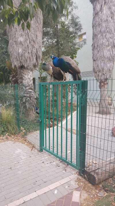 ד"ר אייל בוצר photo 4