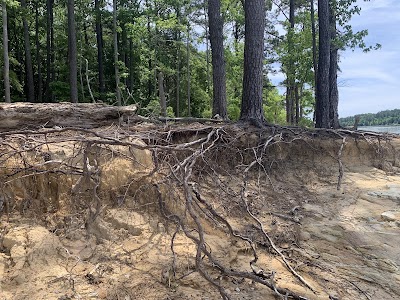 Ebenezer Beach photo 4