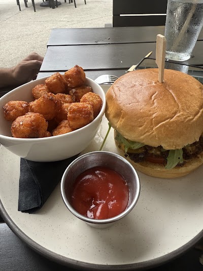 The Stubborn Mule photo 4