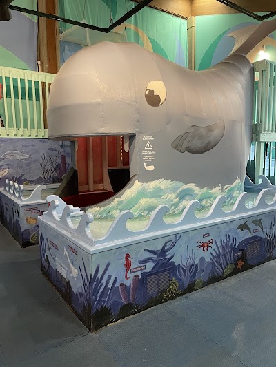 Monmouth Museum photo 4