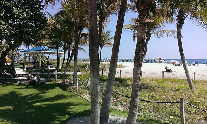 The Flats A1a photo 5