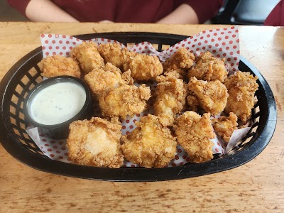 Shy Bird - Kendall Square photo 5