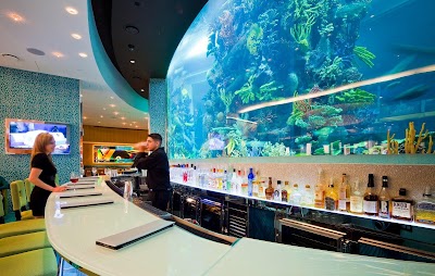 Golden Nugget Las Vegas Hotel & Casino photo 5