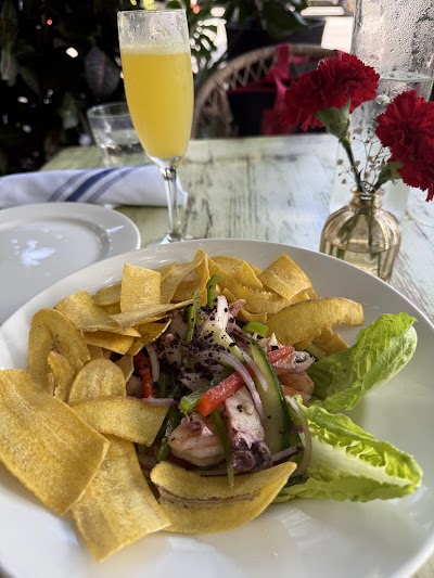 El Patio Restaurant – Bar Habana – La Terraza Rooftop photo 5