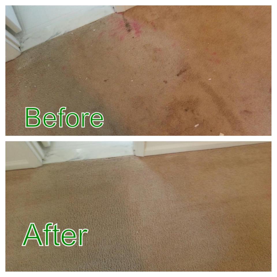 Carpet Dry Clean
