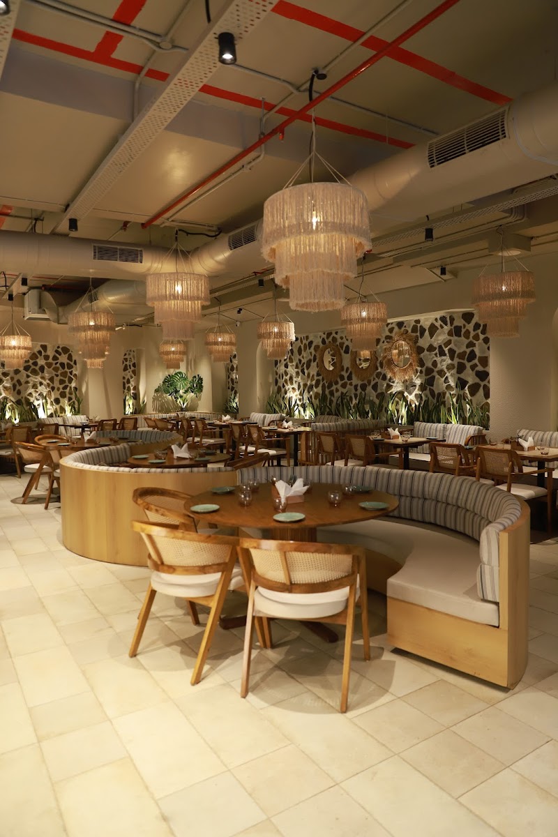 Thyme & Whisk Koregaon Park - Best Pure Veg Fine Dine Restaurant in Pune photo 5