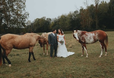 Emily Anne Photography (emilyannephotoart) photo 4