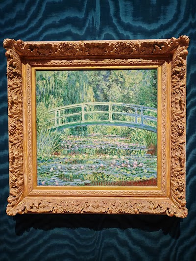 Princeton University Art Museum photo 5