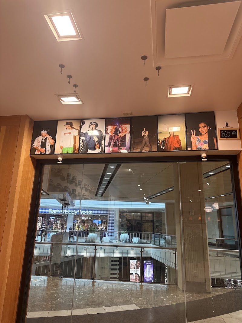 Sole & Laces photo 5