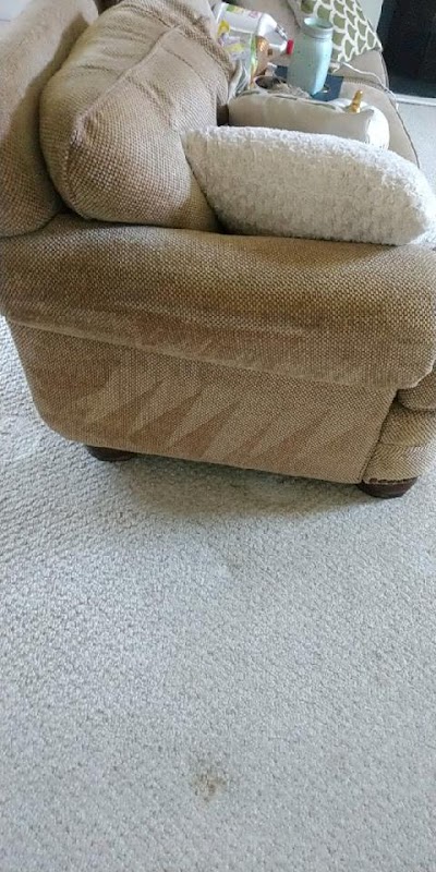 Colorbrite Carpet Cleaning photo 4