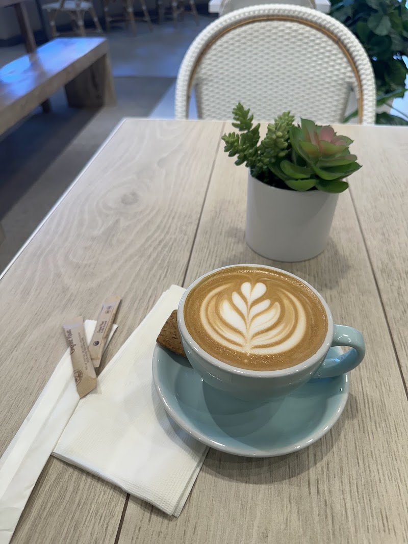 Pura Vida Miami photo 4