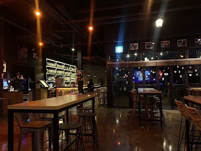 Lazy Lizard Rooftop & Bar photo 4