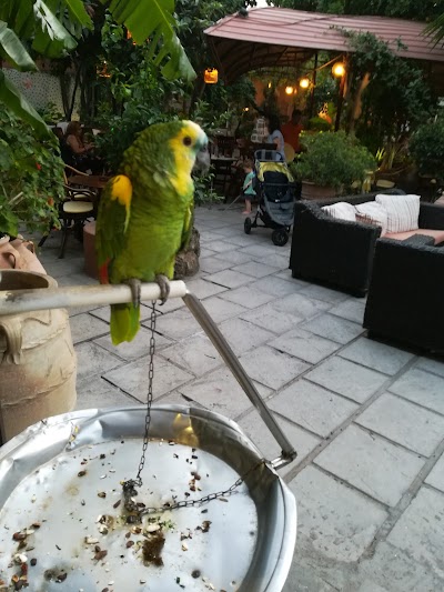 Socratous Garden photo 4