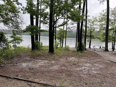 Jordan Lake State Recreation Area photo 4
