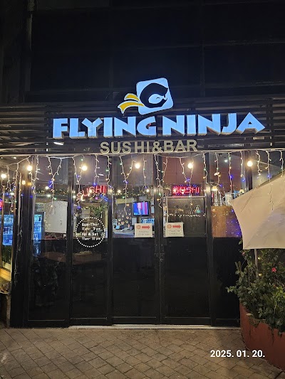 Flying Ninja photo 4