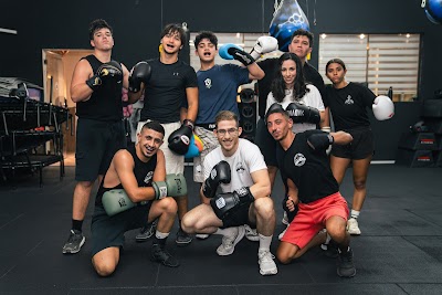 איגרוף קלאסי - נדב דרור photo 4