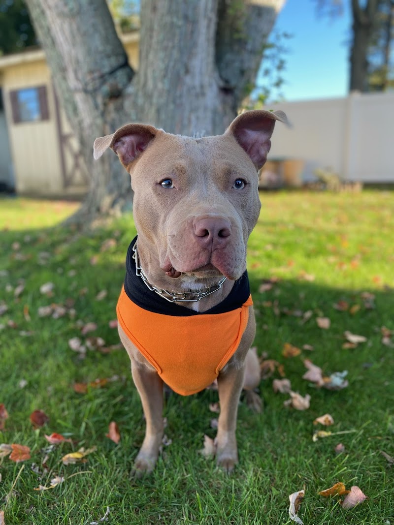 Garbizo Animal Clinic