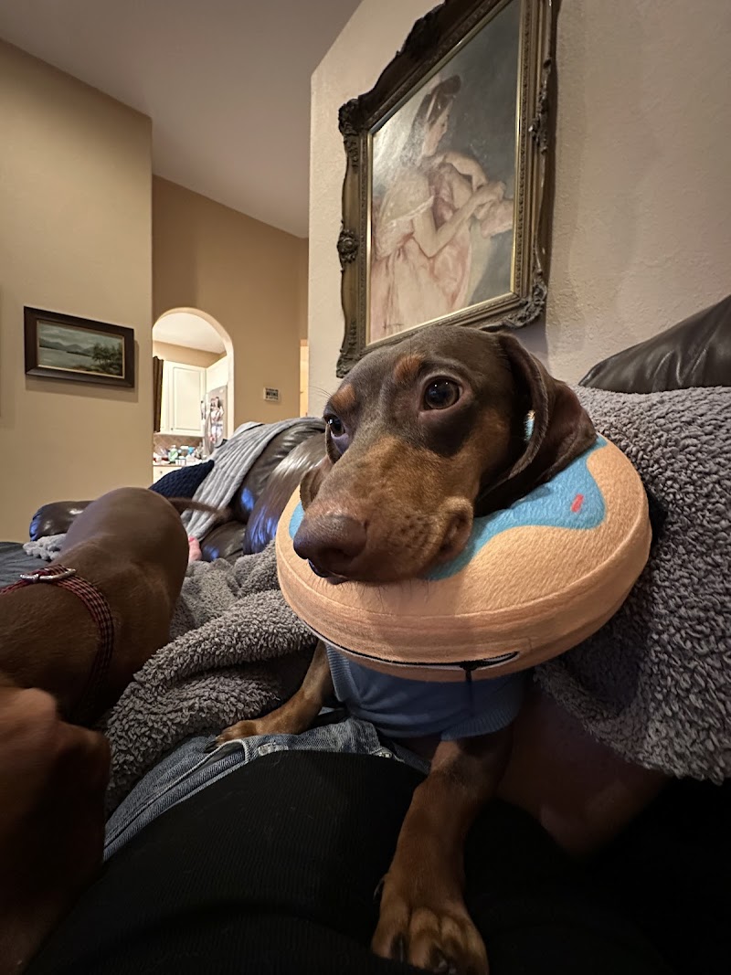 Garbizo Animal Clinic photo 5