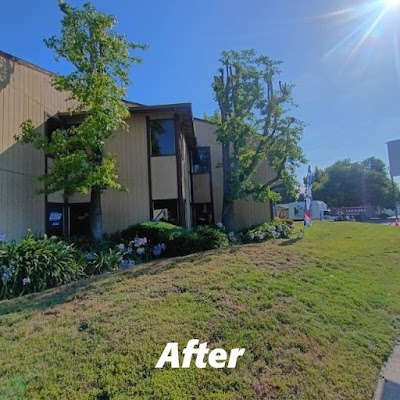 Aztec Tree Services