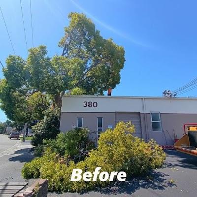 Aztec Tree Services photo 5