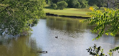 Forest Dale Golf Course photo 5