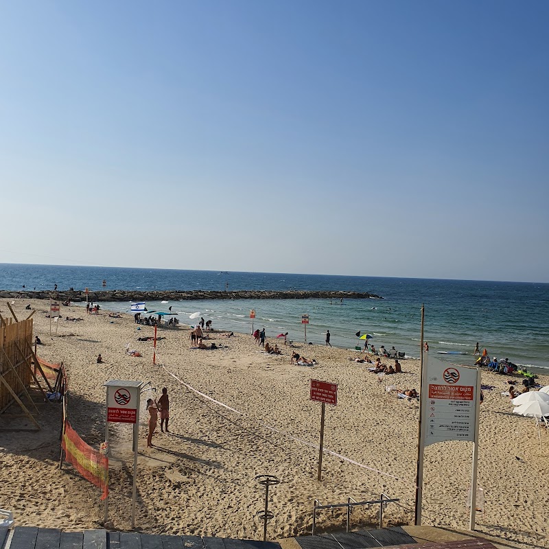 Beach Club TLV photo 5