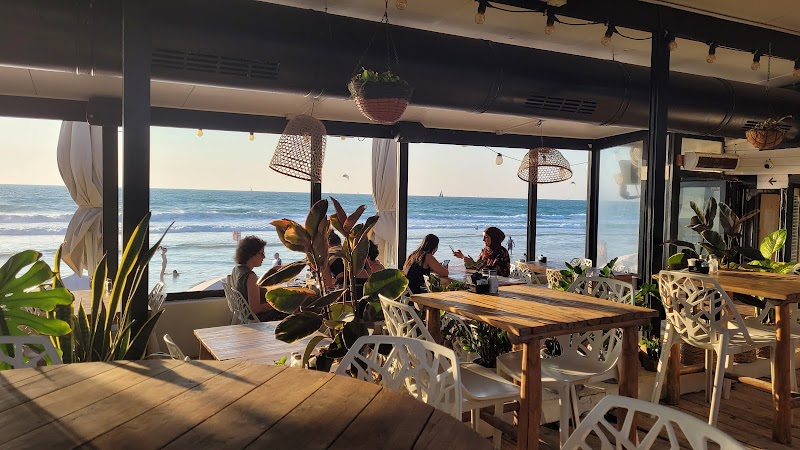 Mandarin beach restaurant tel aviv photo 4