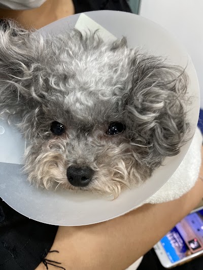 North Point Animal Hospital photo 4
