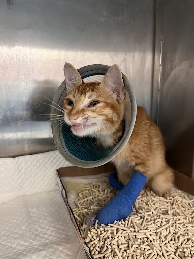 North Point Animal Hospital photo 5