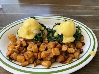 Yellow Yolk photo 5