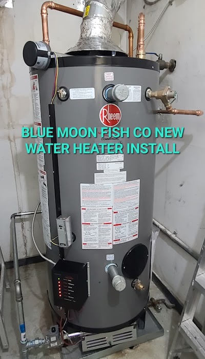 Plumbing Perfected photo 4