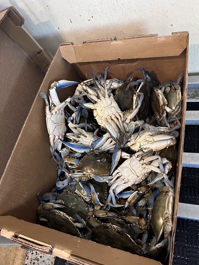 Capital Seafood-Market photo 4