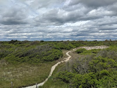 Bird Island Reserve photo 4