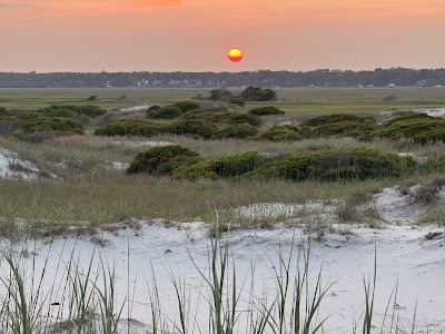 Bird Island Reserve photo 5