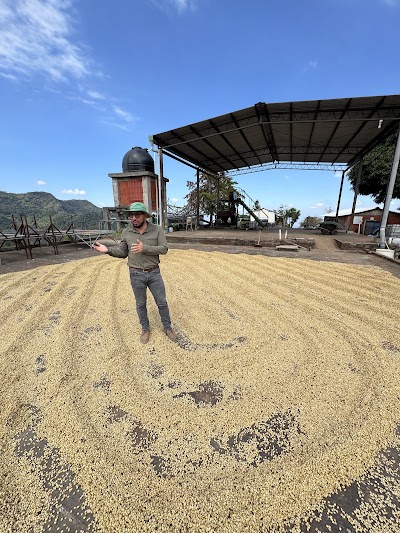 Escondido Coffee Company - Wholesale Roaster photo 4