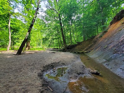 Poricy Park Fossil Beds photo 4