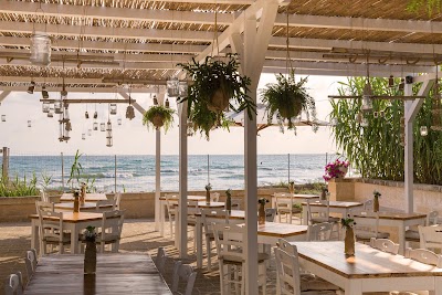 Canne Bianche Lifestyle & Hotel photo 5