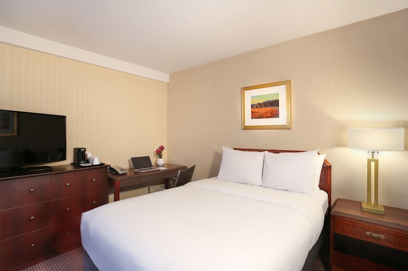 The Manhattan at Times Square Hotel photo 5