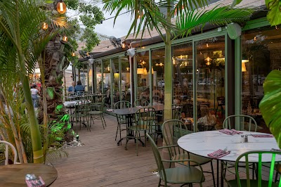 ג'ויה רעות הכשרה JOYA photo 5