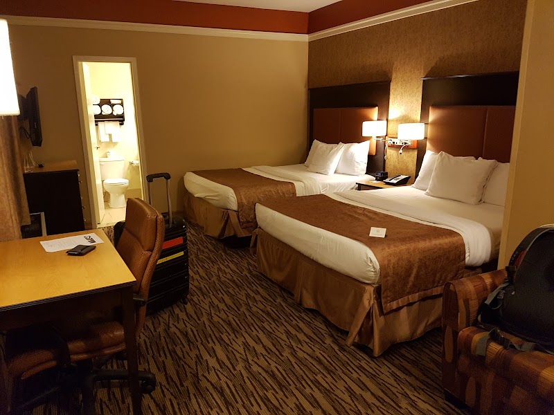 The Hotel at Fifth Avenue photo 5