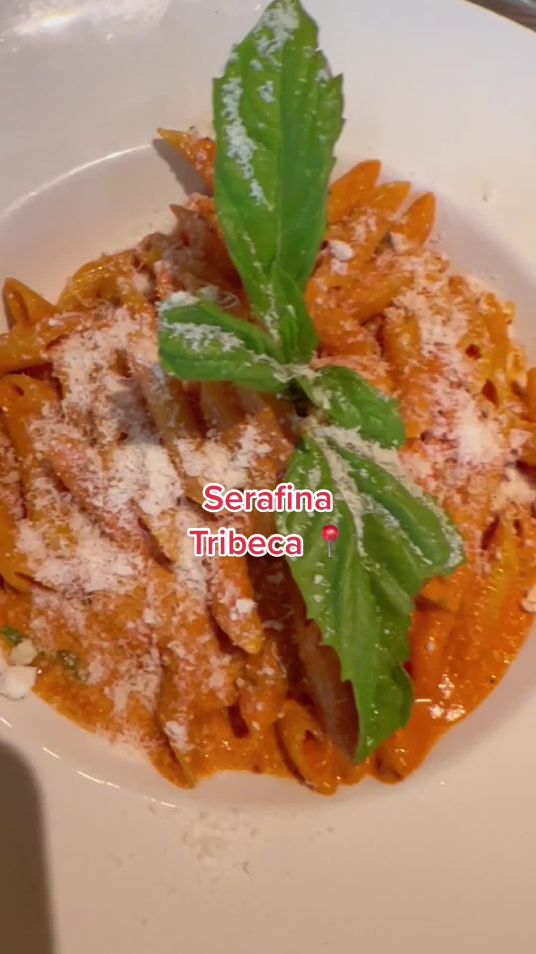 Call me basic but I fcking love @serafinanewyork ✌🏻 #serafina #ny #italianfood #pasta #pastatiktok