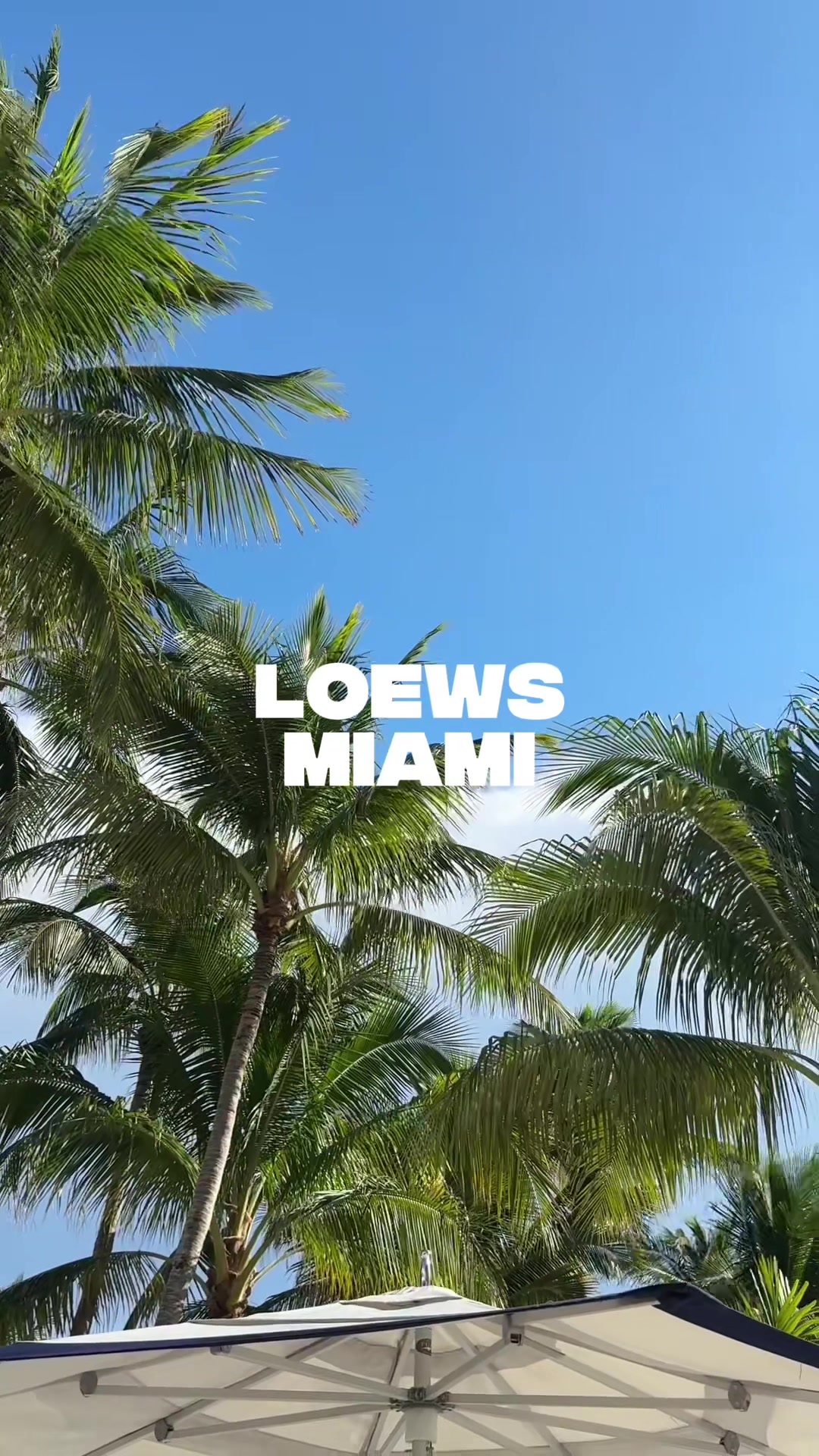 Loews Miami one of Miami’s hottest hotels and the place to be ##LOEWSMIAMI##LOEWSHOTELS##TRAVELCREATOR##TRAVELUGC##tiktokgo
